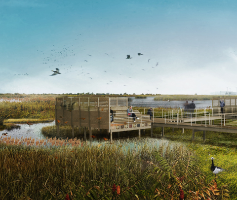 Visualisierung von Holzstegen in einer Landschaft aus Wasser und Schilf. Vögeln fliegen und sitzen im Schilf. Menschen sitzen auf dem Steg. | © Lavaland / Treibhaus