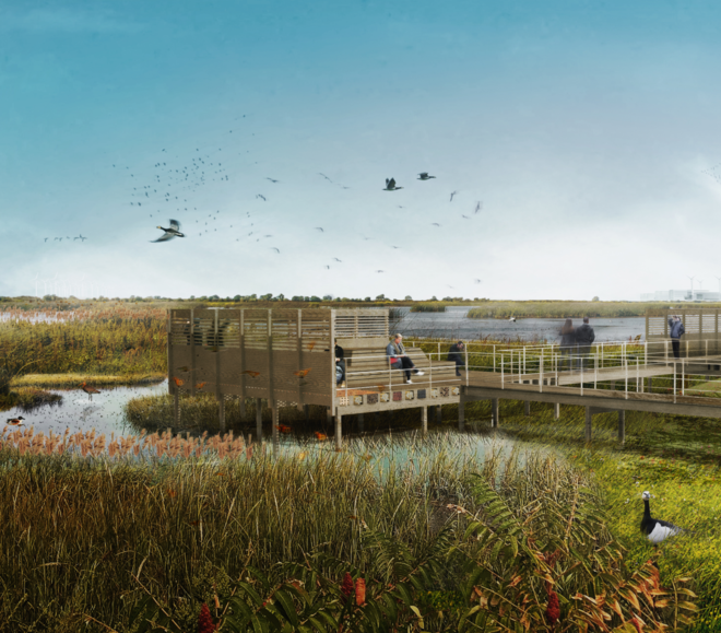 luniq Außenstege | © Lavaland / Treibhaus Visualisierung von Holzstegen in einer Landschaft aus Wasser und Schilf. Vögeln fliegen und sitzen im Schilf. Menschen sitzen auf dem Steg. | © Lavaland / Treibhaus