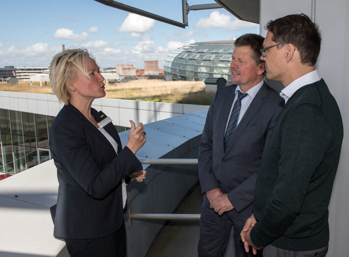 Bienen, Büffel und Gebisse | © ATLANTIC Hotel SAILCity
