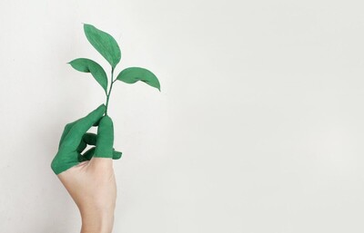 Bremisches Klimaschutz- und Energiegesetz novelliert | © pexels-alena-koval-886521 Bremisches Klimaschutz- und Energiegesetz novelliert | © pexels-alena-koval-886521