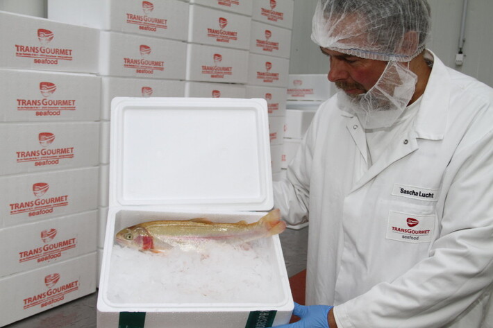 Fisch als nachhaltiges Lebensmittel: Transgourmet macht´s möglich | © Helmut Stapel