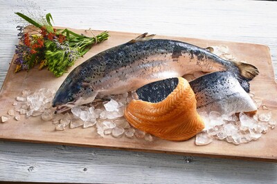 Götterdämmerung mit Siegel: Transgourmet Seafood verarbeitet isländischen Naturlachs im Fischereihafen | © Transgourmet Seafood Götterdämmerung mit Siegel: Transgourmet Seafood verarbeitet isländischen Naturlachs im Fischereihafen | © Transgourmet Seafood
