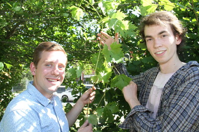 Grüner Hitzeschild im Stadtleben soll Abkühlung schaffen | © Urban Pergola Grüner Hitzeschild im Stadtleben soll Abkühlung schaffen | © Urban Pergola