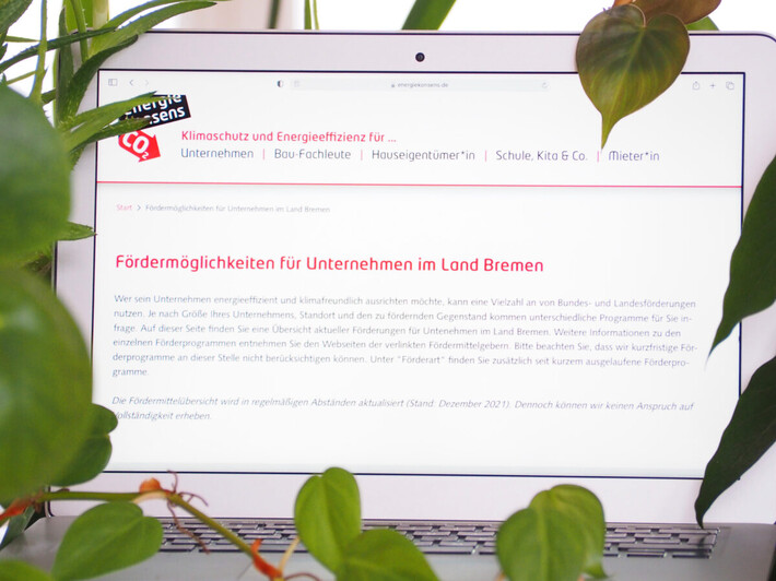 Mehr Durchblick im Förderdschungel: Passende Programme für Klimaschutz und Energieeffizienz in Unternehmen | © energiekonsens