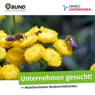 Modellvorhaben Biodiversitätsindex - machen Sie mit! | © Aufruf Biodiversitätsindex Modellvorhaben Biodiversitätsindex – machen Sie mit! | © Aufruf Biodiversitätsindex