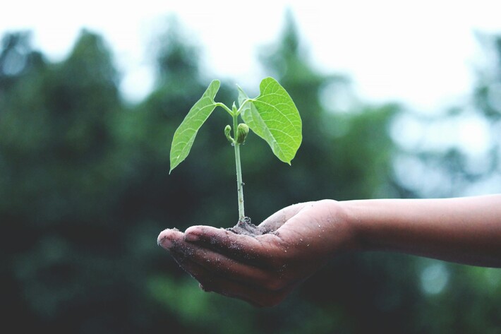 „Nudges“ für mehr Klimaschutz im Unternehmen | © Pexels
